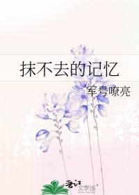抹不去的回忆 抹不去的回忆